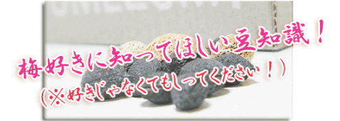 梅抜きに知って欲しい知識