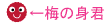 �~�̐g�N